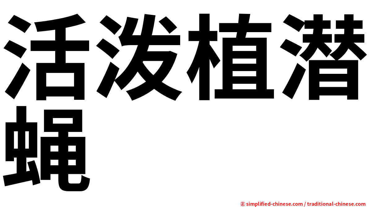 活泼植潜蝇