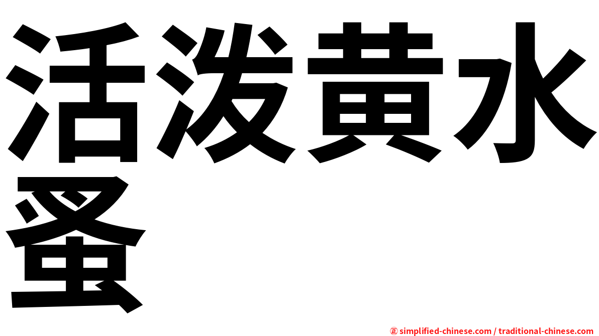活泼黄水蚤