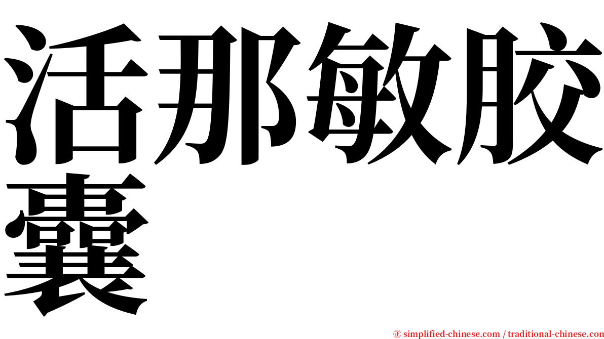 活那敏胶囊 serif font