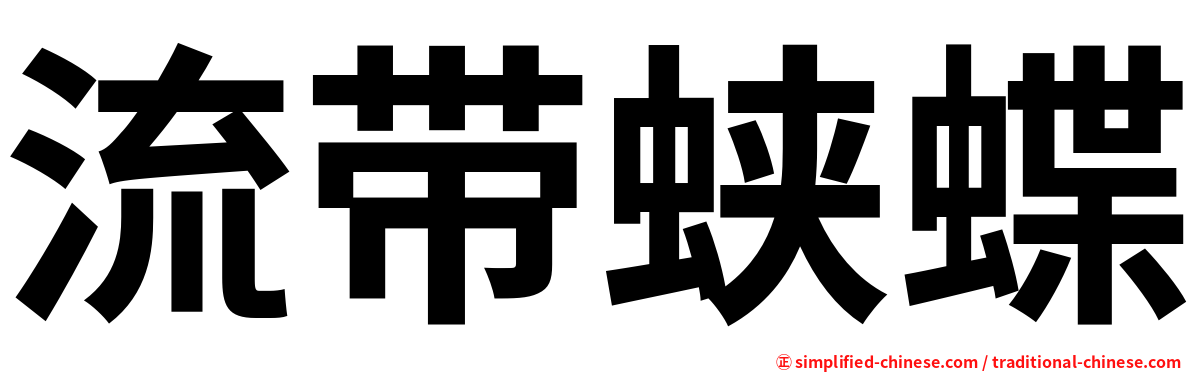 流带蛱蝶