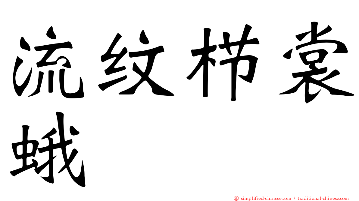 流纹栉裳蛾