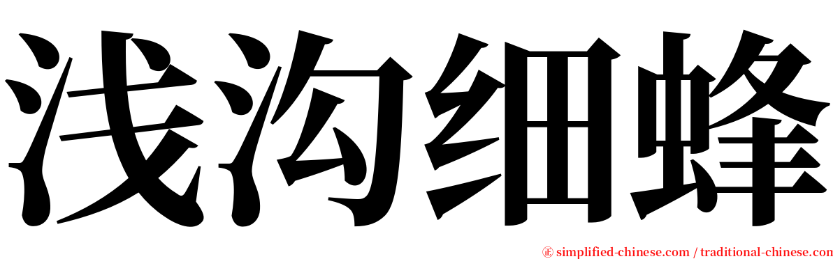 浅沟细蜂 serif font
