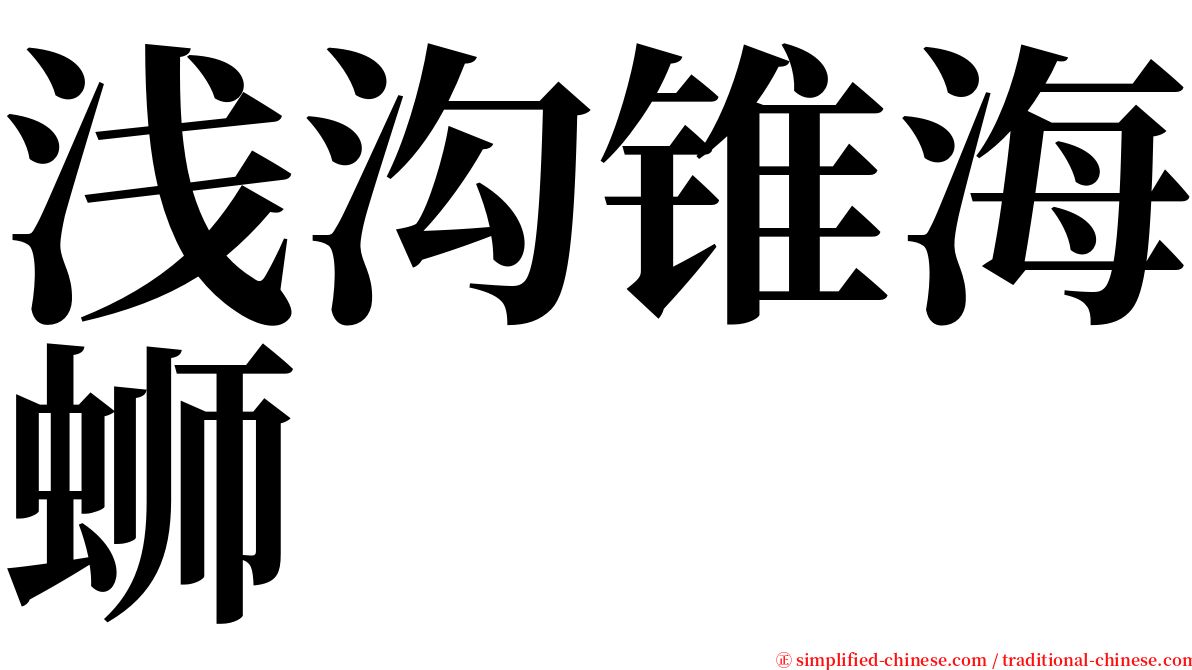浅沟锥海蛳 serif font