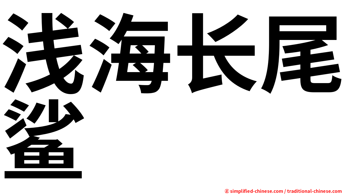 浅海长尾鲨