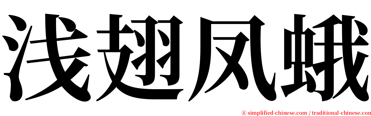 浅翅凤蛾 serif font