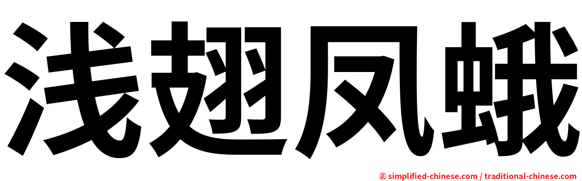 浅翅凤蛾