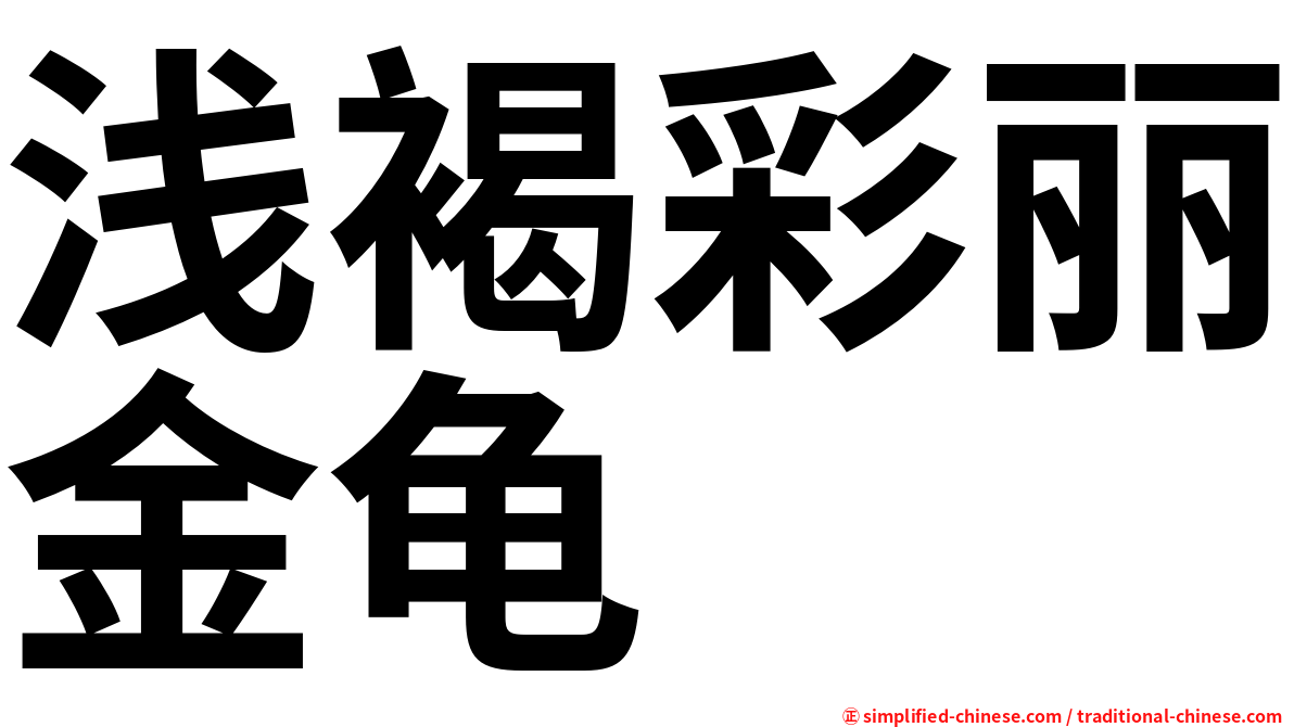 浅褐彩丽金龟