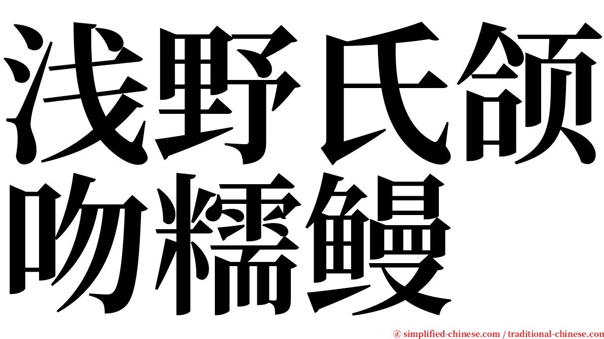 浅野氏颌吻糯鳗 serif font