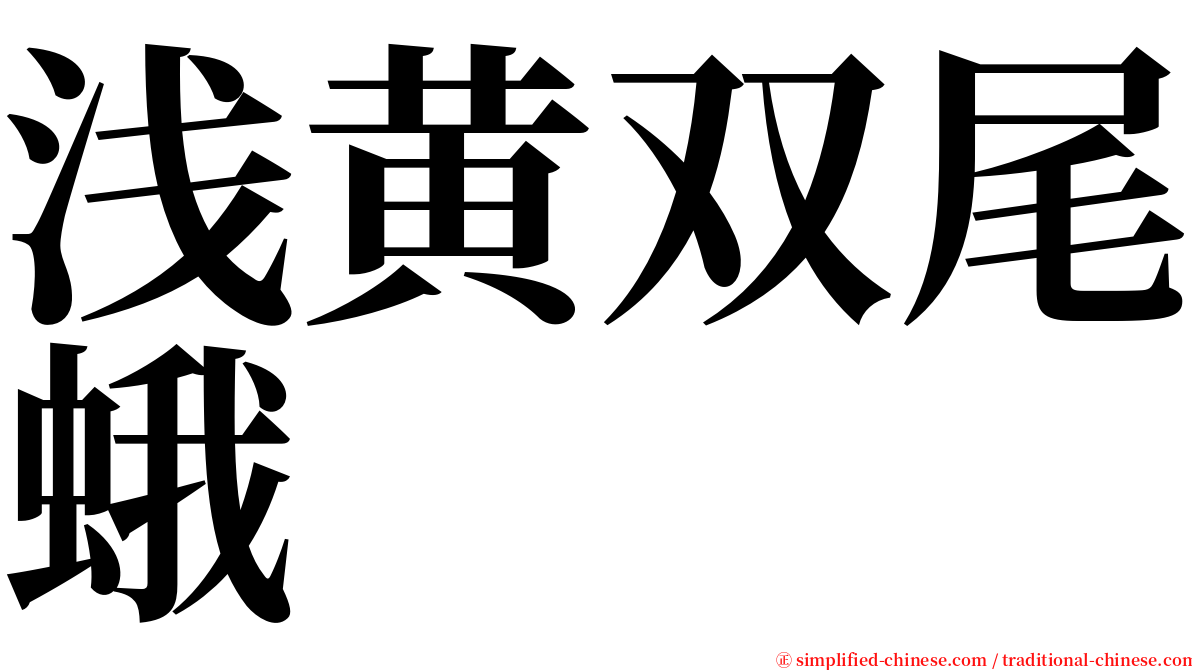 浅黄双尾蛾 serif font