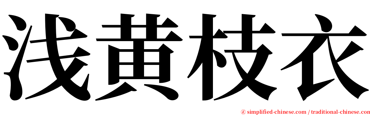 浅黄枝衣 serif font