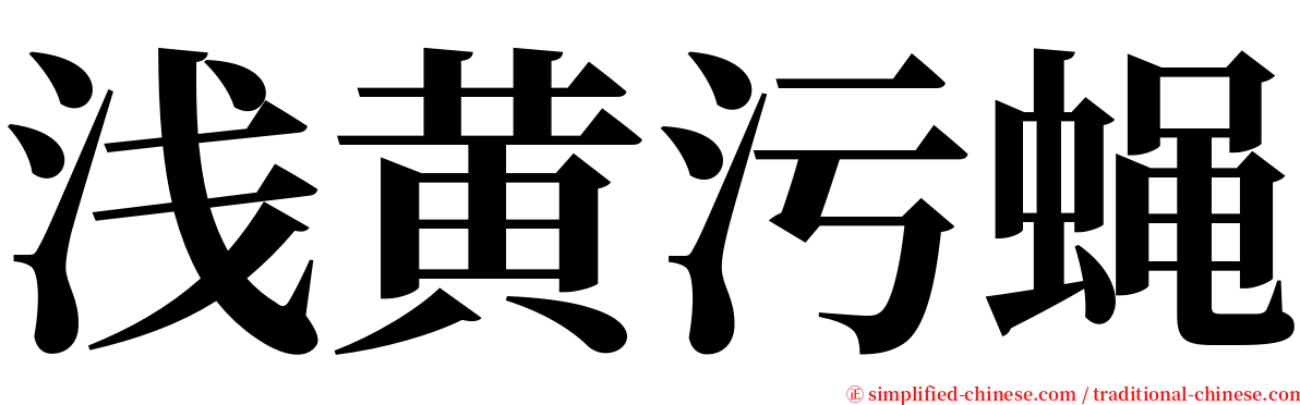 浅黄污蝇 serif font