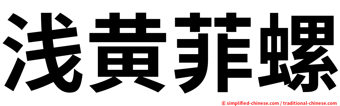 浅黄菲螺