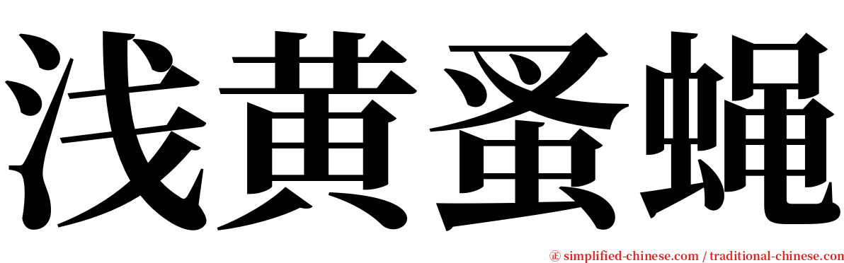 浅黄蚤蝇 serif font