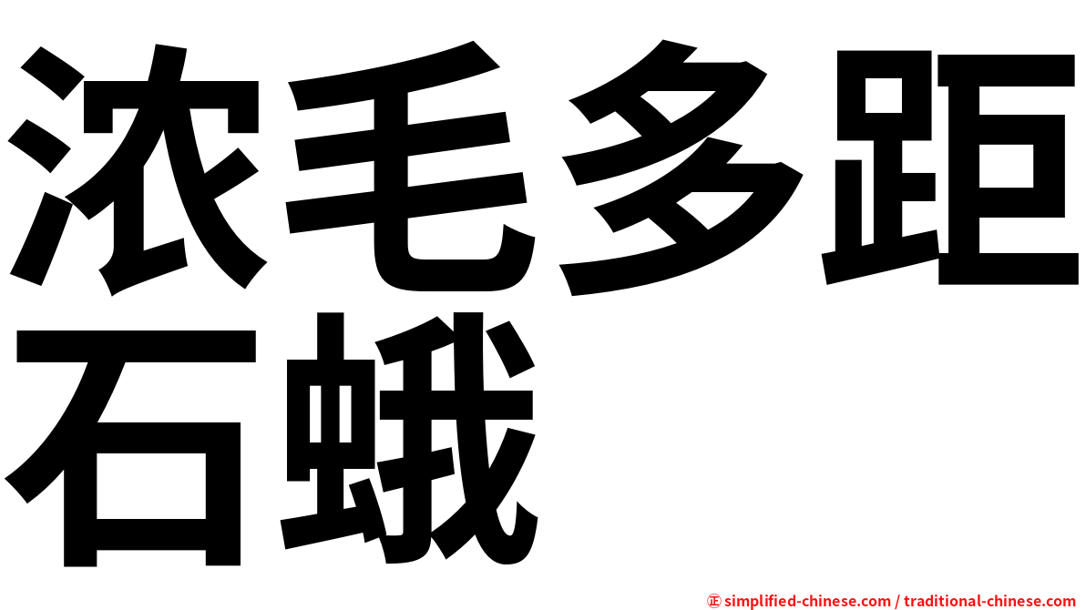 浓毛多距石蛾