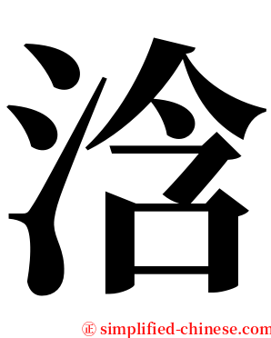 浛 serif font