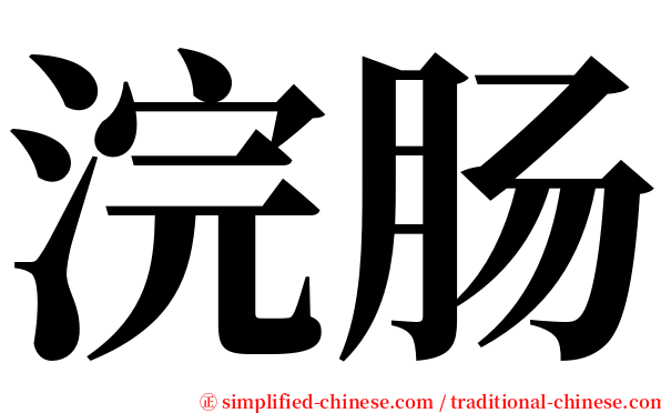浣肠 serif font