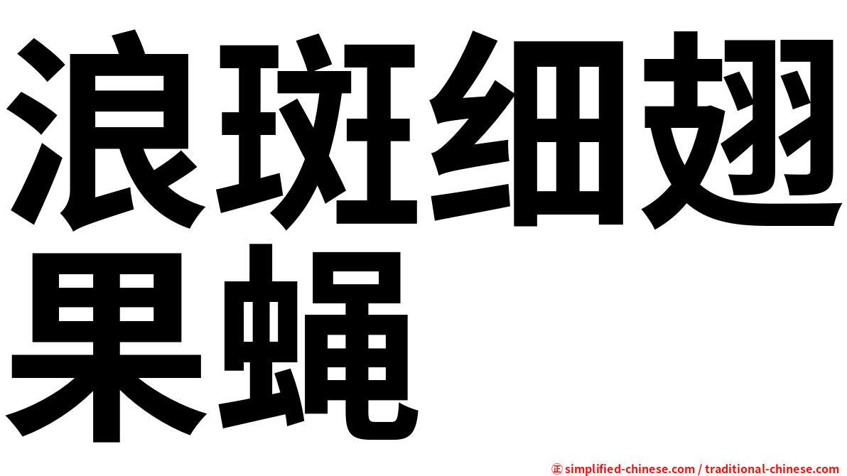浪斑细翅果蝇