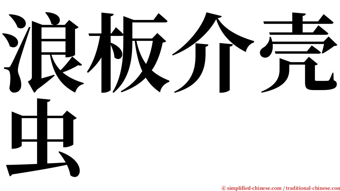 浪板介壳虫 serif font