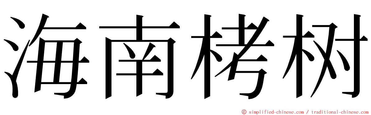 海南栲树 ming font