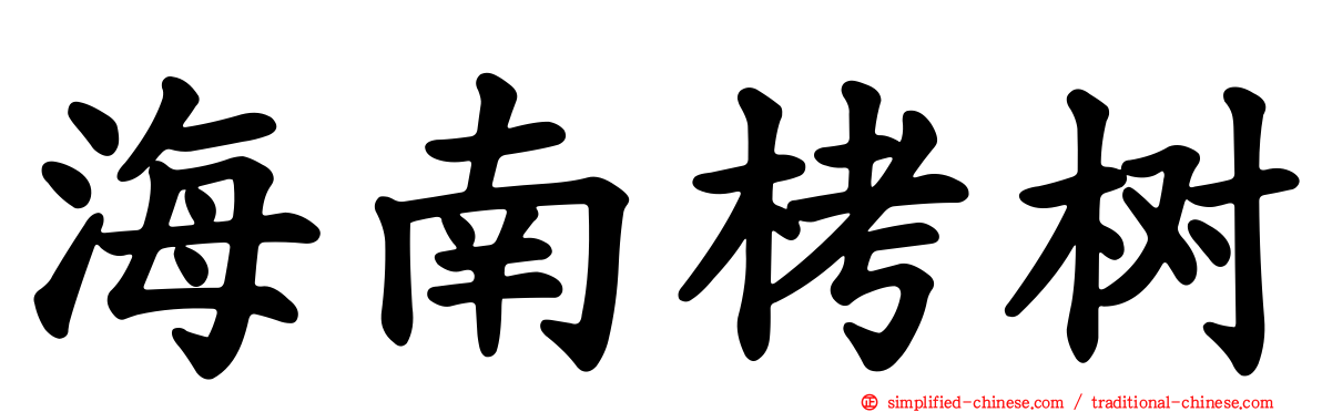 海南栲树