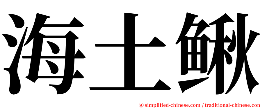 海土鳅 serif font