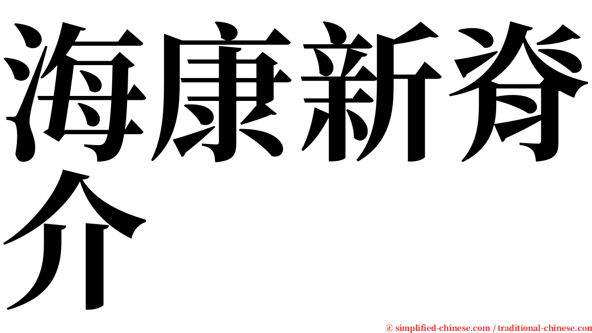 海康新脊介 serif font
