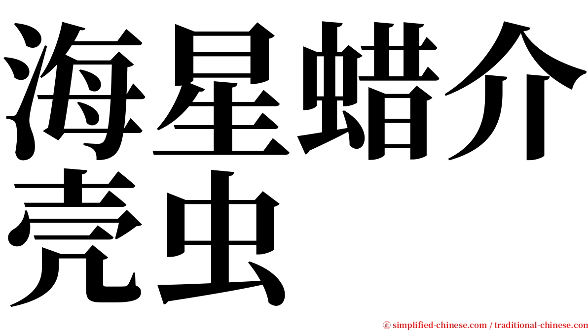 海星蜡介壳虫 serif font