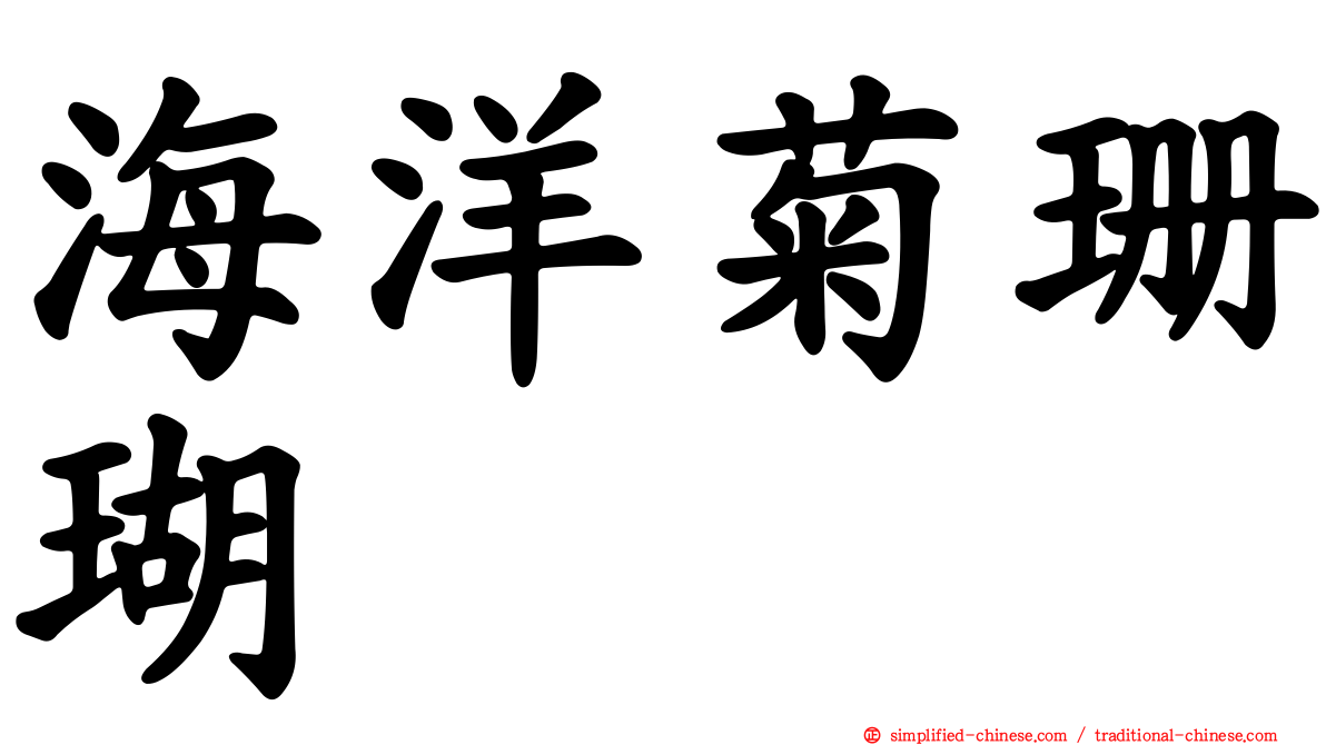 海洋菊珊瑚