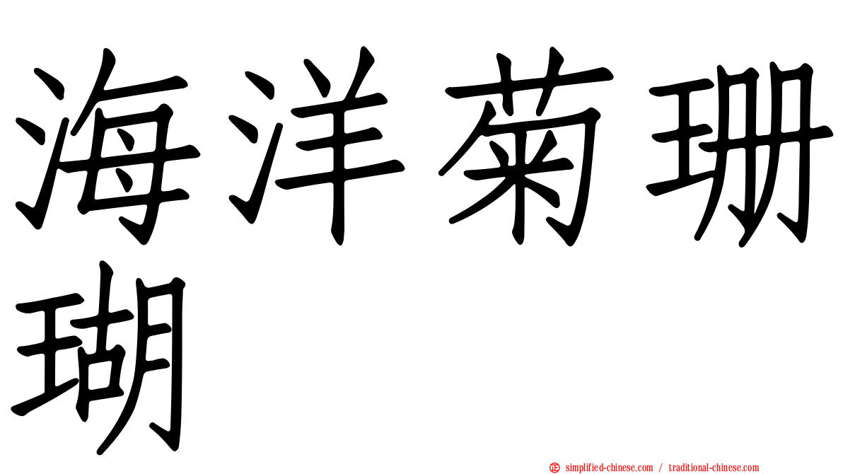 海洋菊珊瑚