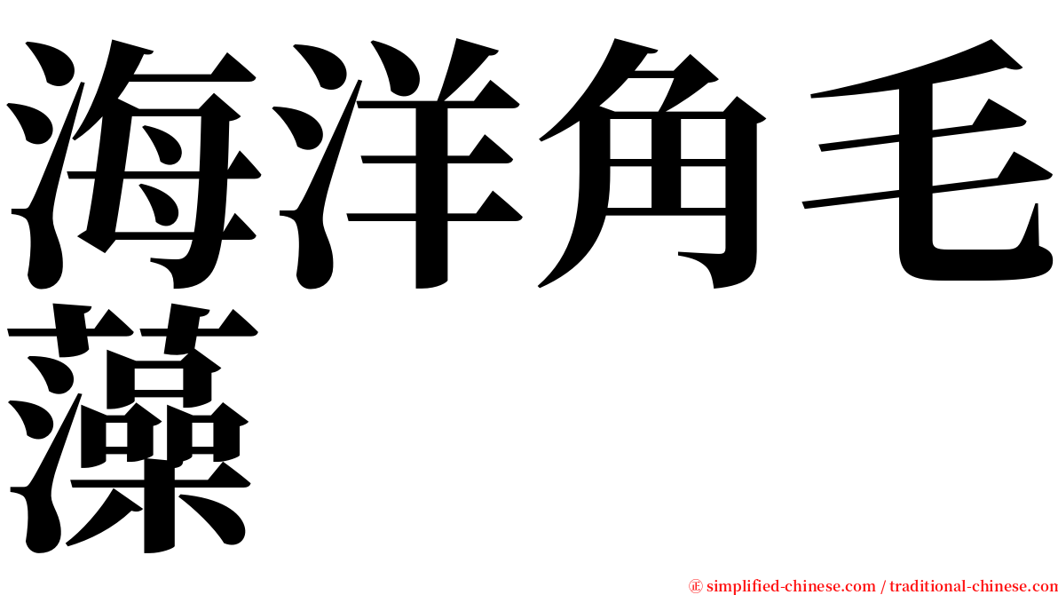海洋角毛藻 serif font