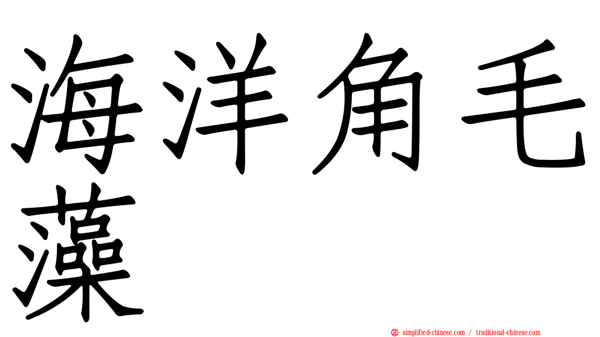 海洋角毛藻
