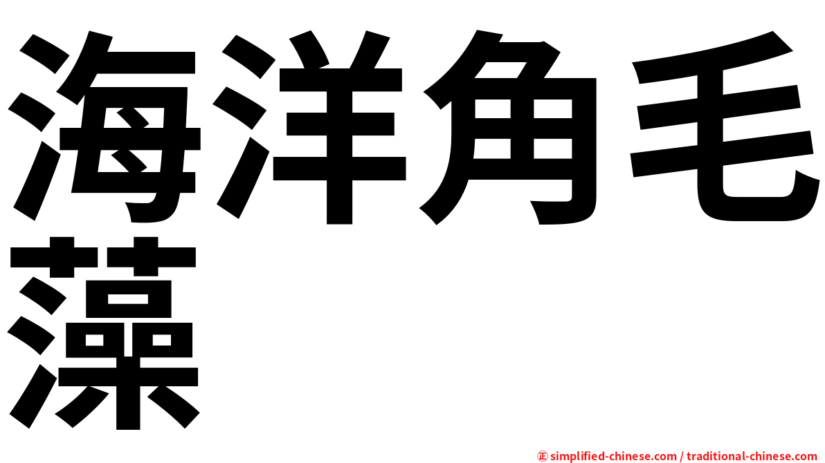 海洋角毛藻