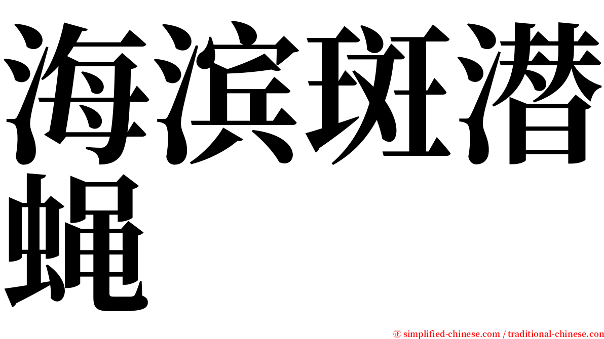 海滨斑潜蝇 serif font