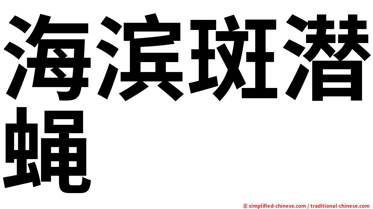 海滨斑潜蝇
