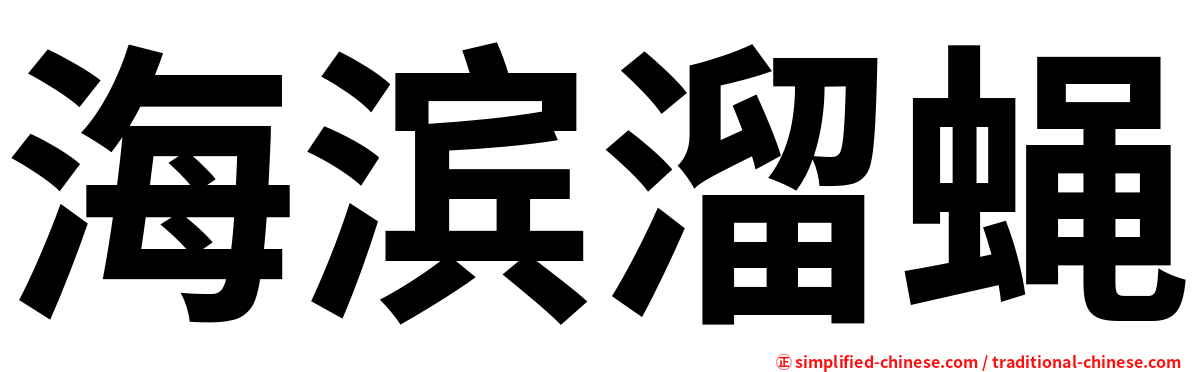 海滨溜蝇
