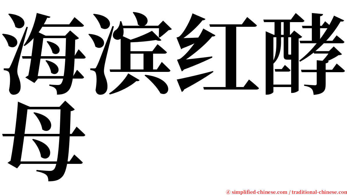 海滨红酵母 serif font
