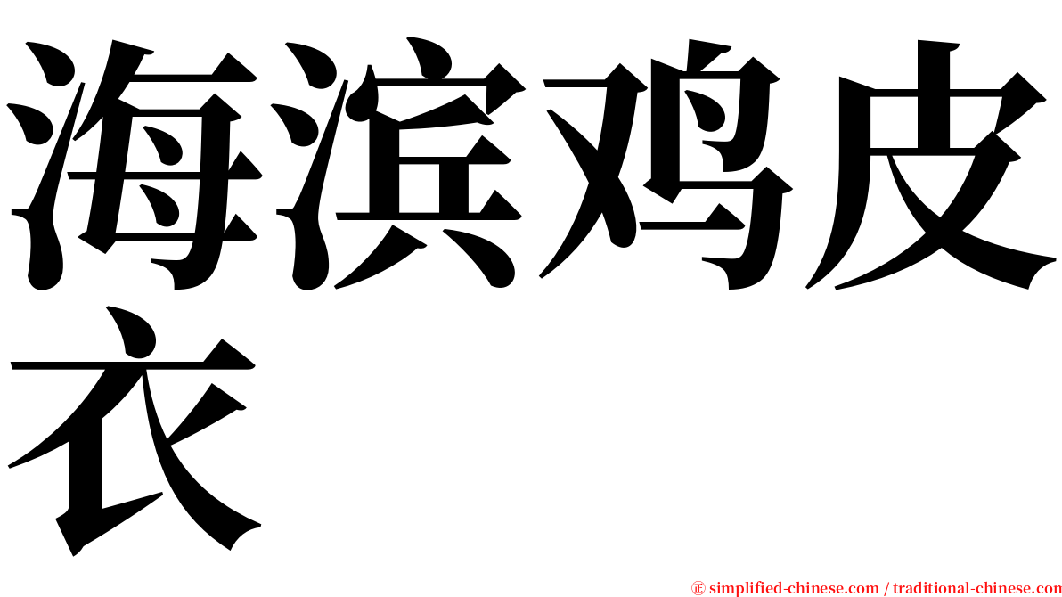 海滨鸡皮衣 serif font