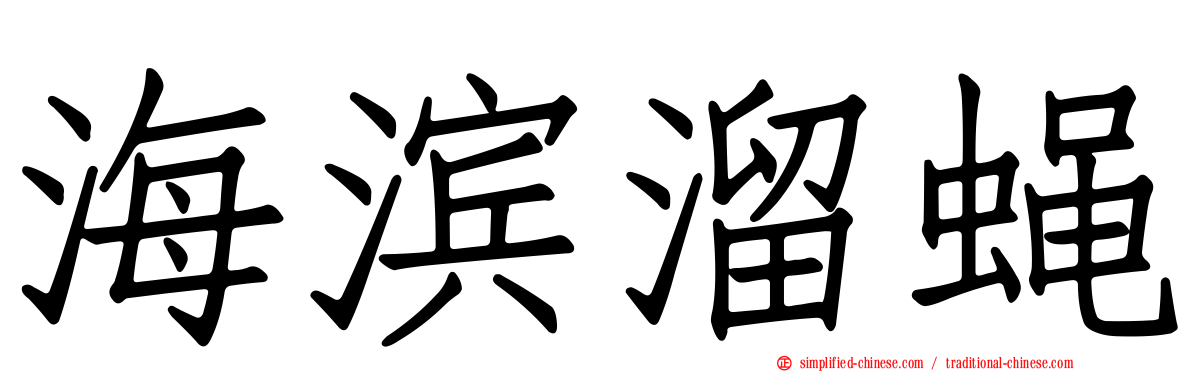 海滨溜蝇