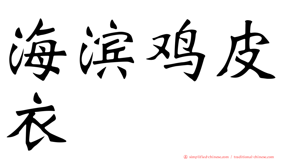 海滨鸡皮衣