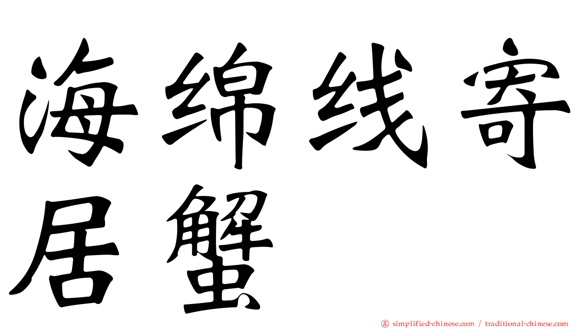 海绵线寄居蟹