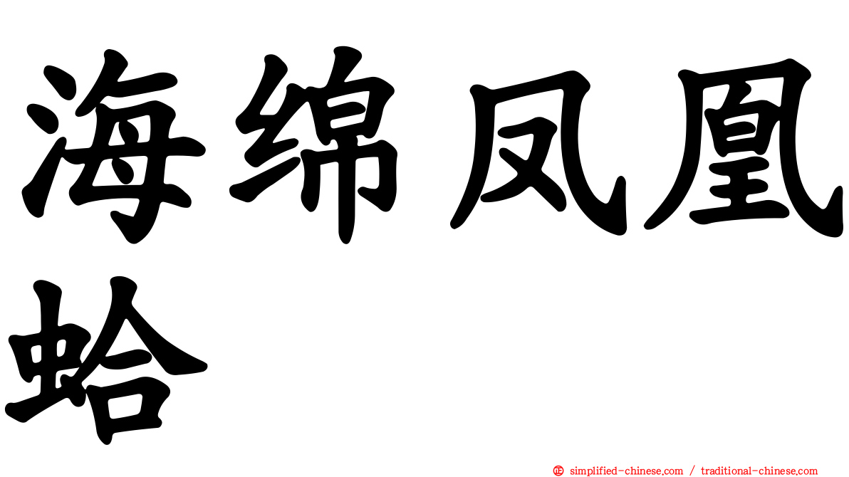 海绵凤凰蛤
