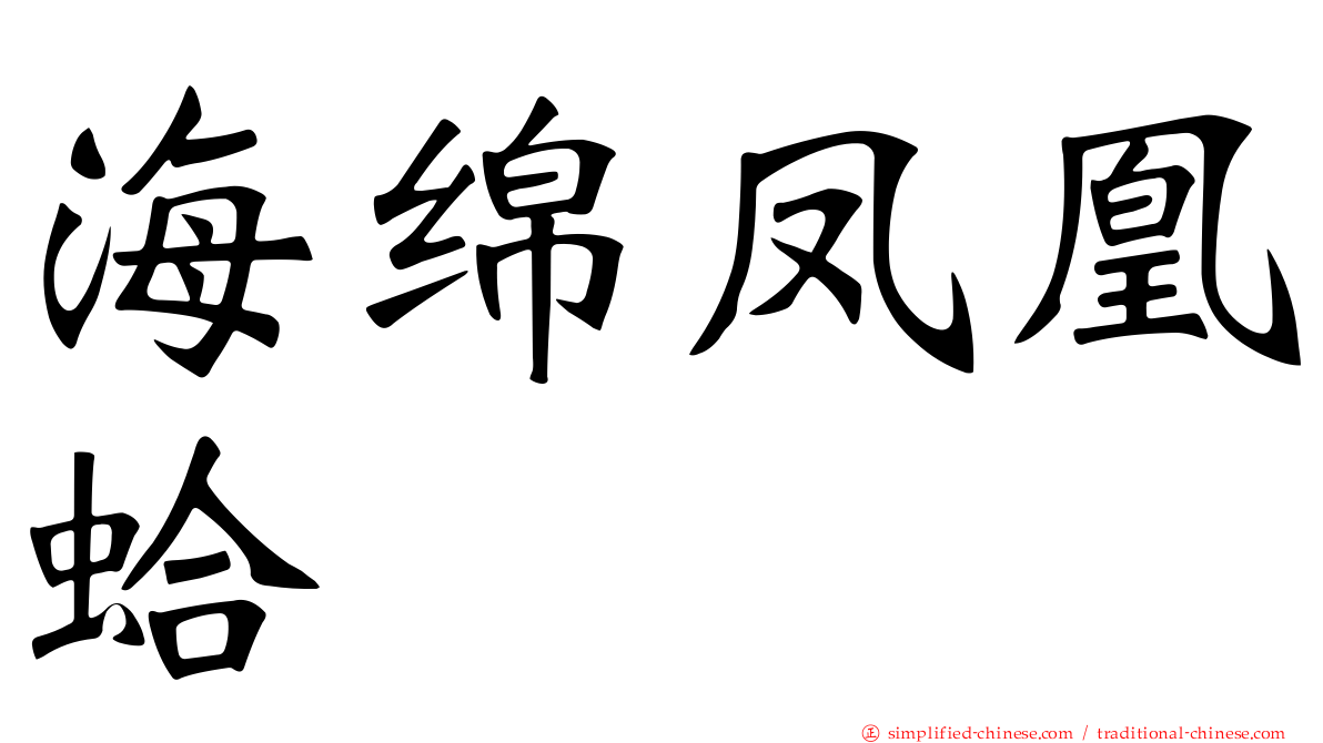 海绵凤凰蛤