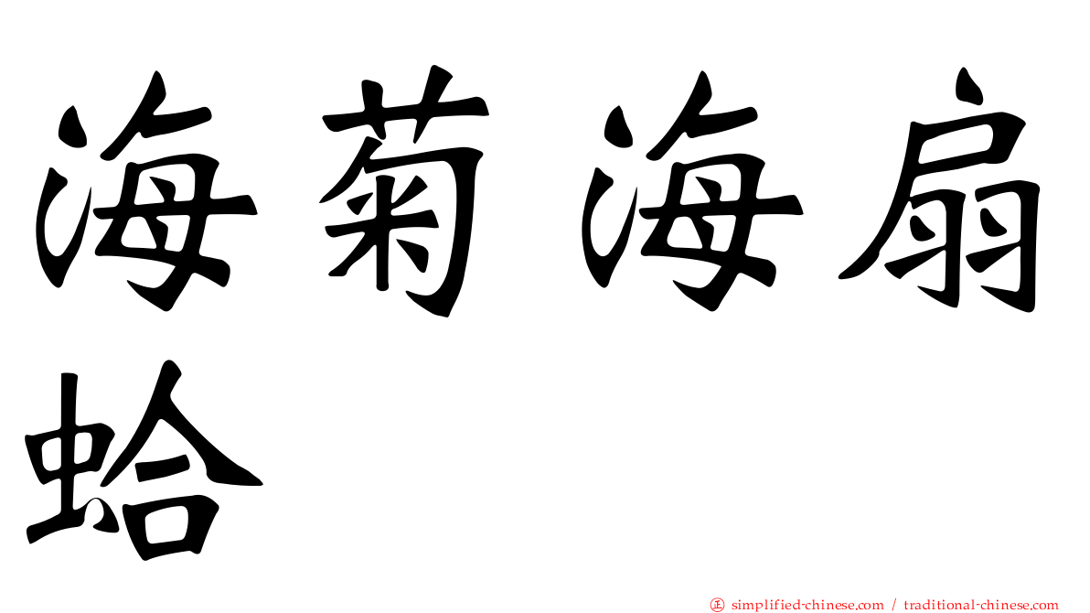 海菊海扇蛤