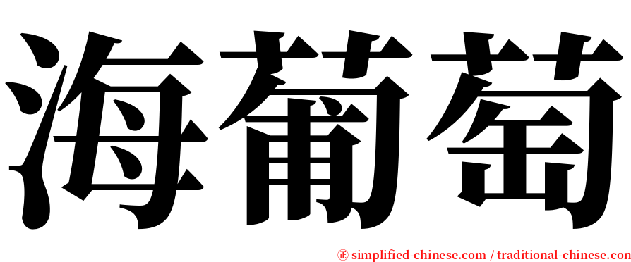 海葡萄 serif font