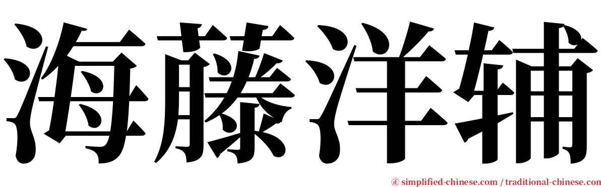 海藤洋辅 serif font