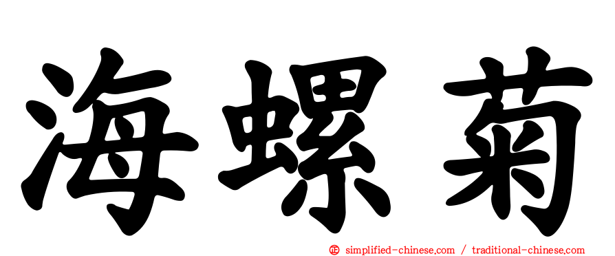海螺菊