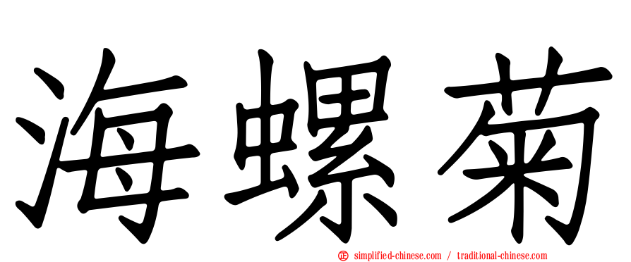 海螺菊