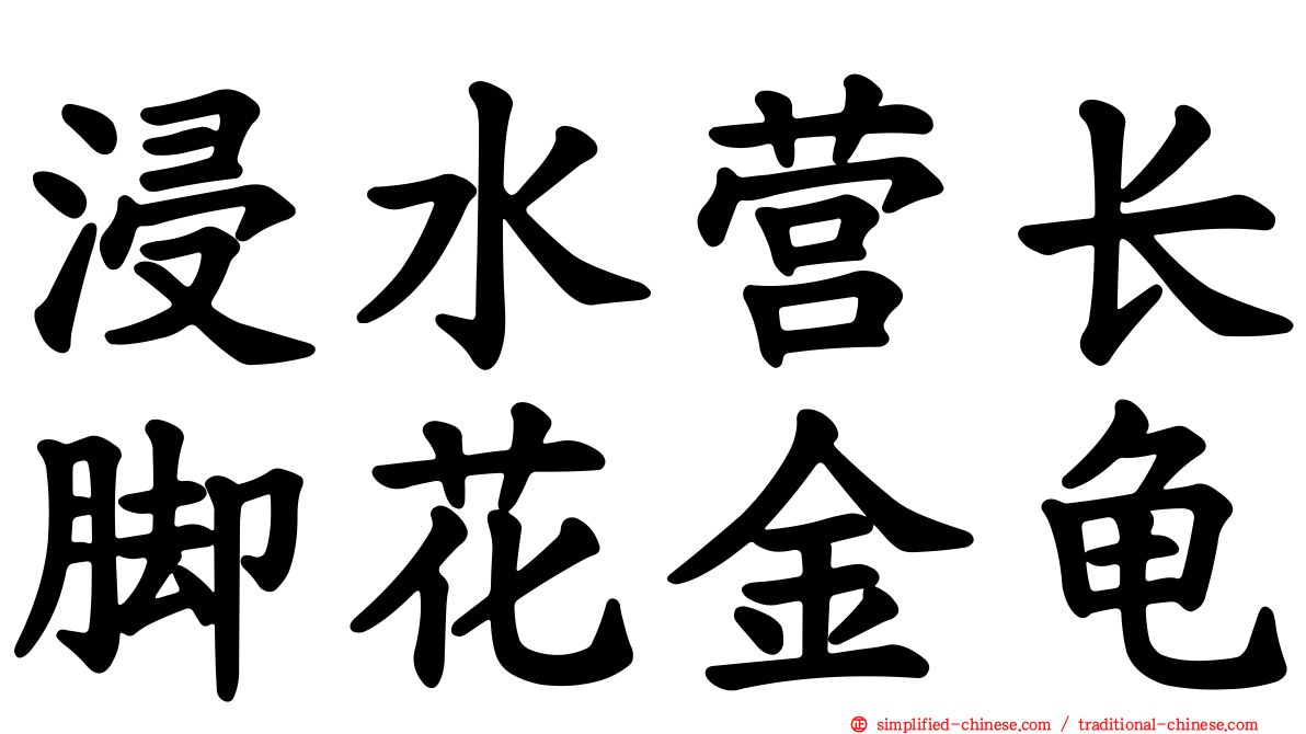 浸水营长脚花金龟