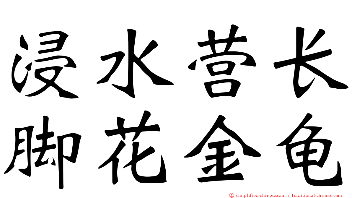 浸水营长脚花金龟