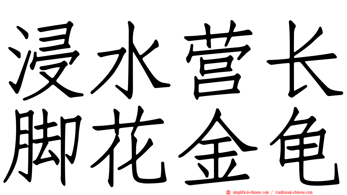 浸水营长脚花金龟
